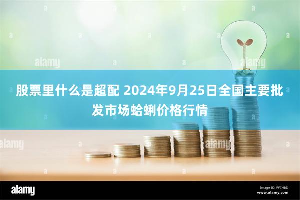 股票里什么是超配 2024年9月25日全国主要批发市场蛤蜊价格行情