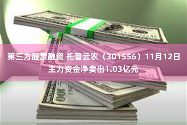 第三方股票融资 托普云农（301556）11月12日主力资金净卖出1.03亿元