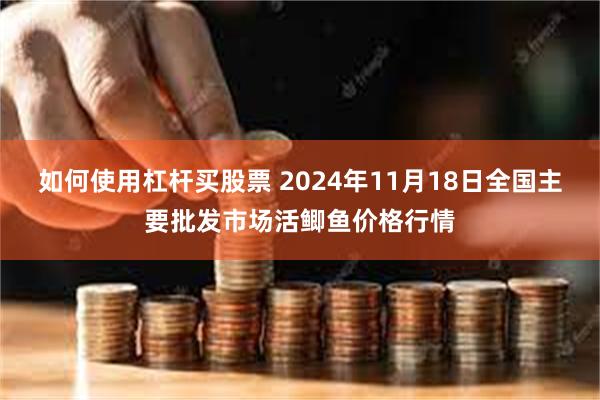 如何使用杠杆买股票 2024年11月18日全国主要批发市场活鲫鱼价格行情