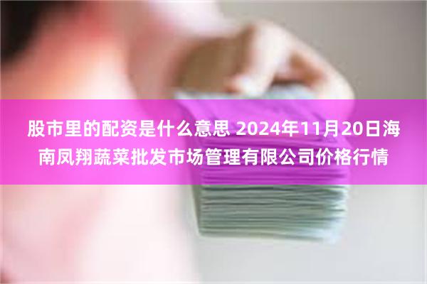 股市里的配资是什么意思 2024年11月20日海南凤翔蔬菜批发市场管理有限公司价格行情