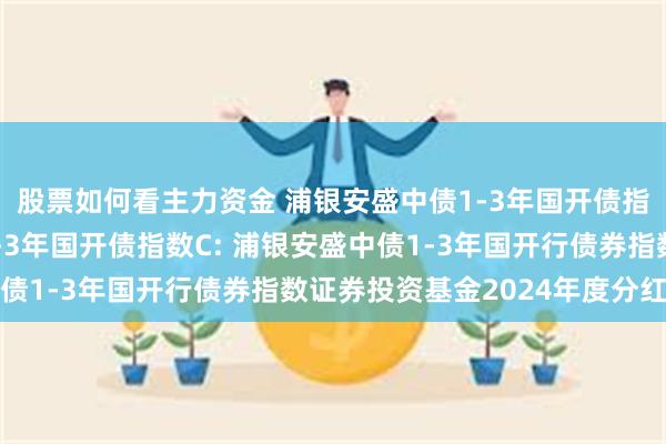 股票如何看主力资金 浦银安盛中债1-3年国开债指数A,浦银安盛中债1-3年国开债指数C: 浦银安盛中债1-3年国开行债券指数证券投资基金2024年度分红公告