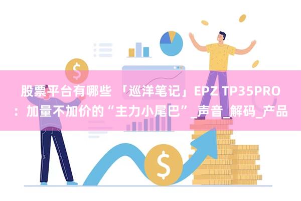 股票平台有哪些 「巡洋笔记」EPZ TP35PRO：加量不加价的“主力小尾巴”_声音_解码_产品
