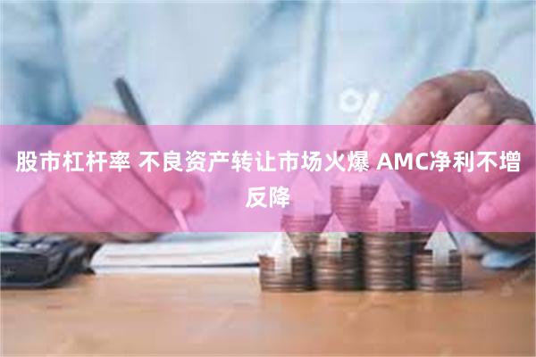 股市杠杆率 不良资产转让市场火爆 AMC净利不增反降